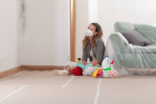 Reliable Crawl Space Mold Removal contractor in Spring Grove, PA by WQB Mold Removal